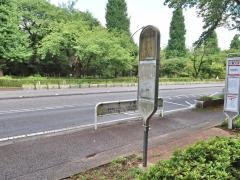 「一橋大学」バス停留所