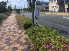 「大平台２丁目北」バス停留所
