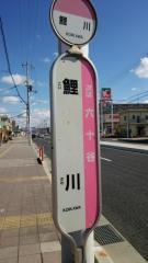 「鯉川」バス停留所