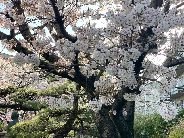 第二尾張荘