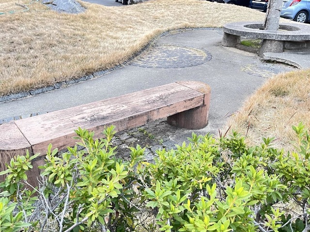 ヴィヴァン