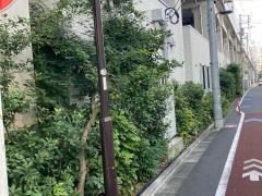 おはよう保育園梅屋敷
