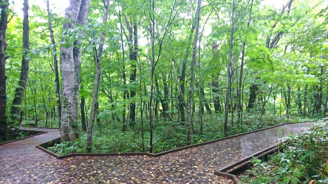 施設写真11