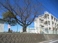 白鳳小学校
