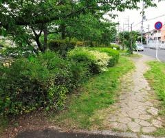 長沢川緑地