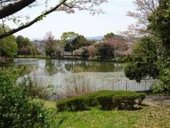 平城4号公園