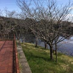 平城4号公園