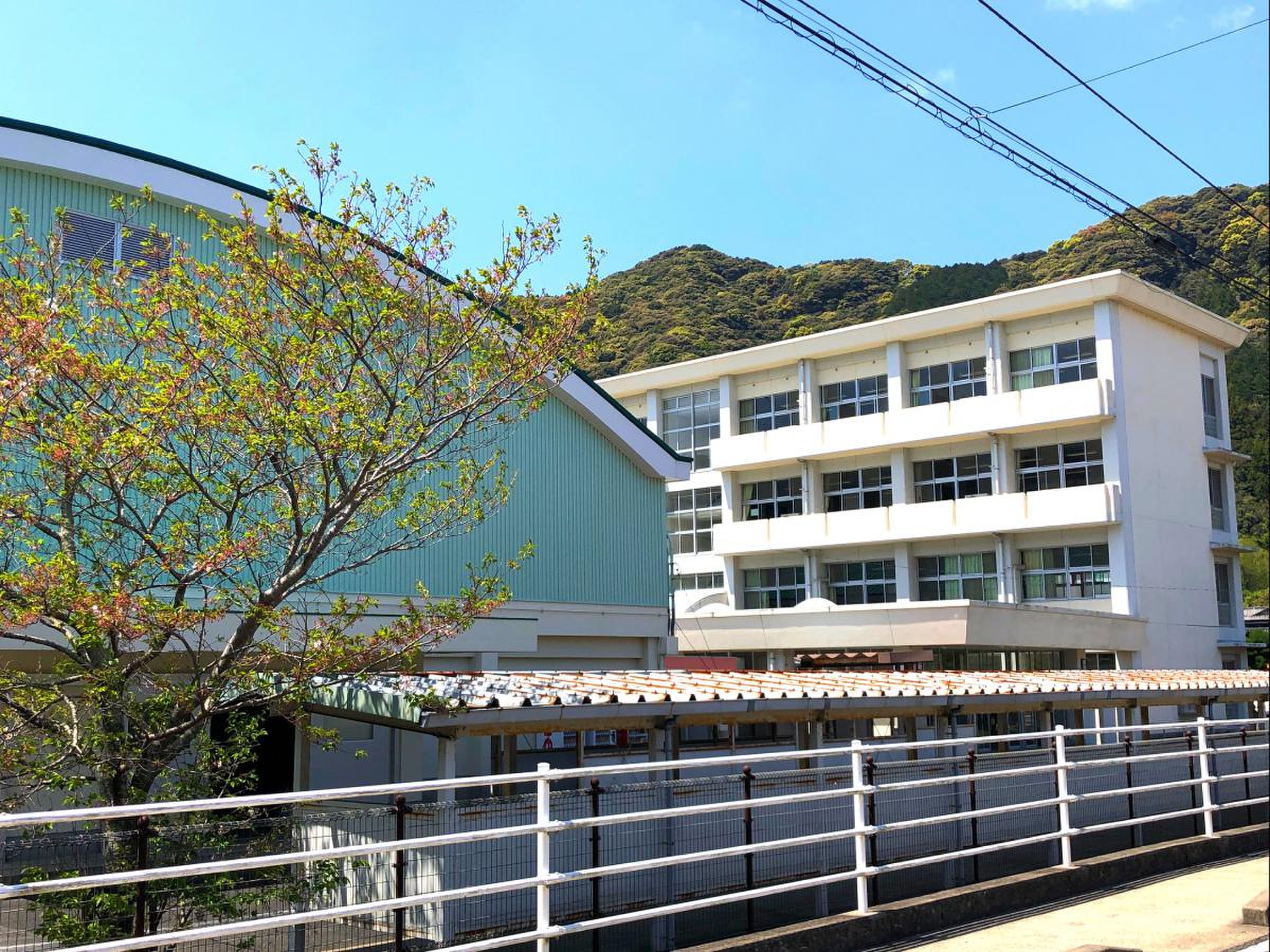 長崎 県立 清 峰 高等 学校