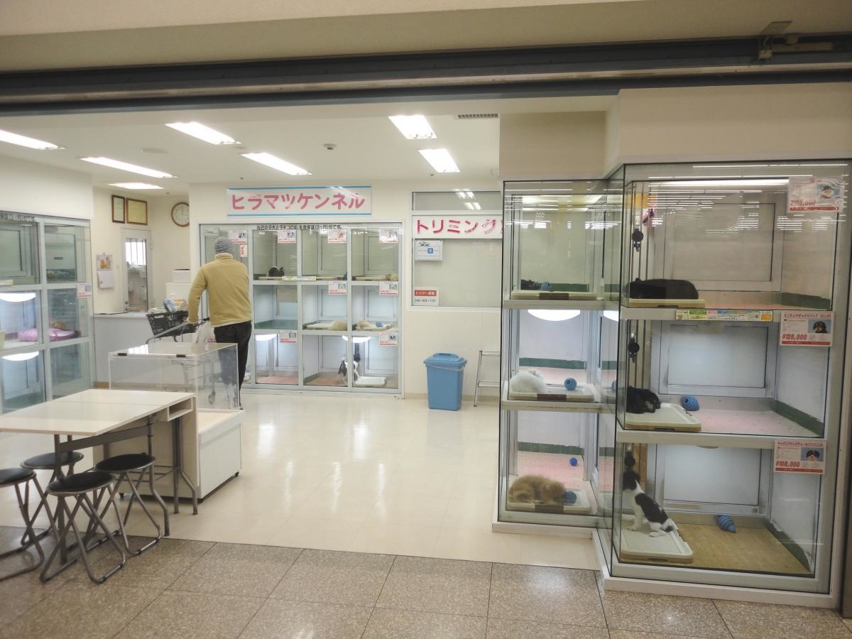 店舗外観です