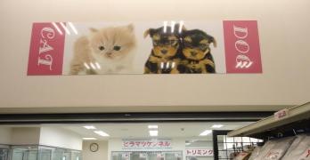 ヒラマツケンネル　エイビィ店