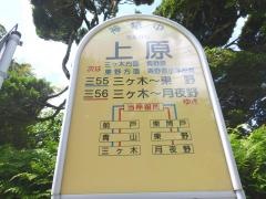 「上原」バス停留所