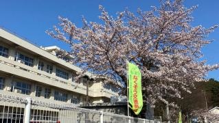 森合小学校