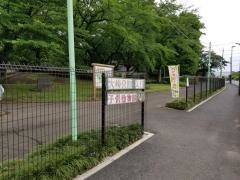 大崎公園