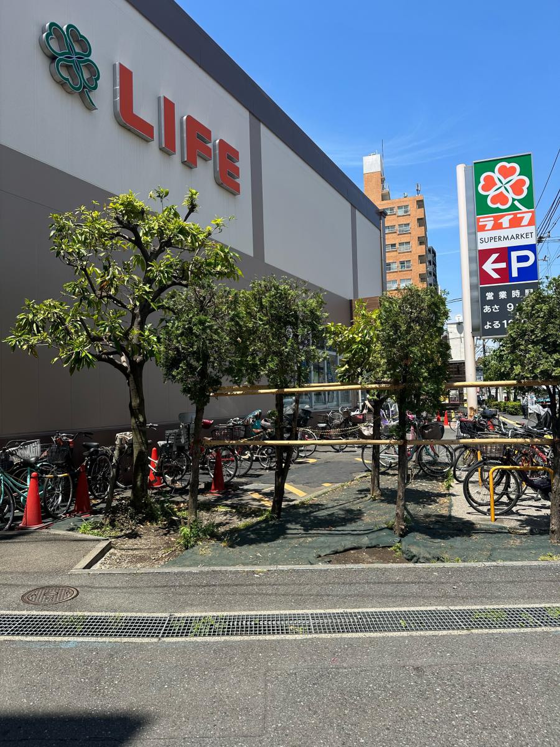 活動歴および当時の関連ビジュアル記録
