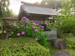 金剛寺