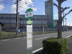 「緑町」バス停留所