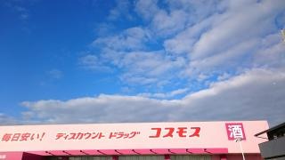 ドラッグストアコスモス　伊予新川店