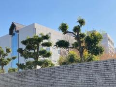 白鴎大学　大行寺キャンパス