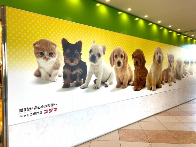 施設写真11