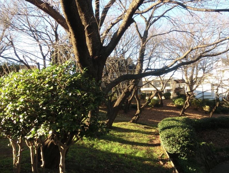 常盤公園