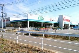 コメリハード＆グリーン　加美店
