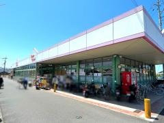 松山生協岡田店