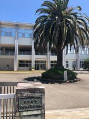 宮崎県立宮崎大宮高等学校
