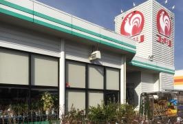 コメリハード＆グリーン　栗野店