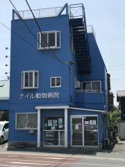 ナイル動物病院