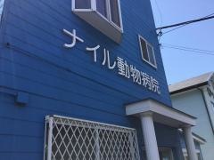 ナイル動物病院