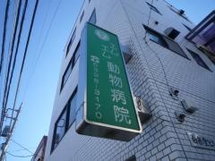 エム・エム動物病院