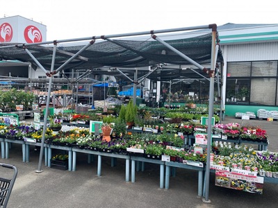 マーケットピア コメリハード グリーン 三輪店