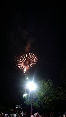 旅探 たびたん あげお花火大会 上尾市