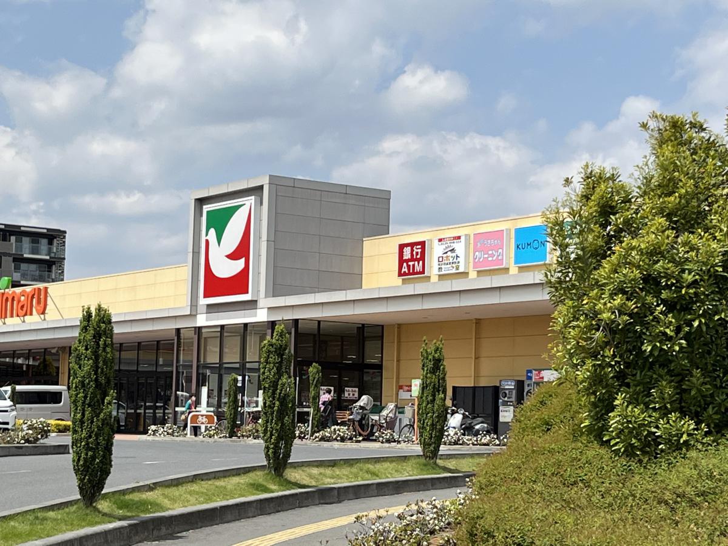ヨークベニマル守谷店の真相！営業時間やチラシ特売・テナント徹底解剖
