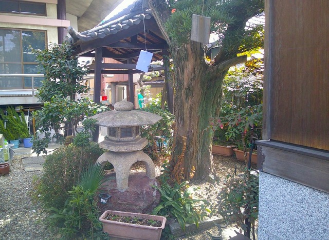 投稿写真4