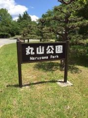 丸山公園