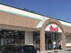 Ａｖａｉｌ石岡店