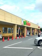 ヨークベニマル　若松原店