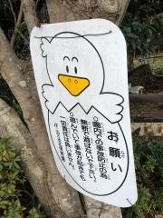 下山立正保育園