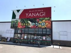 ヤナギ内海店