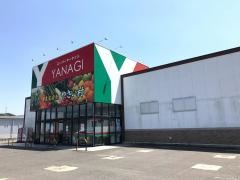 ヤナギ内海店