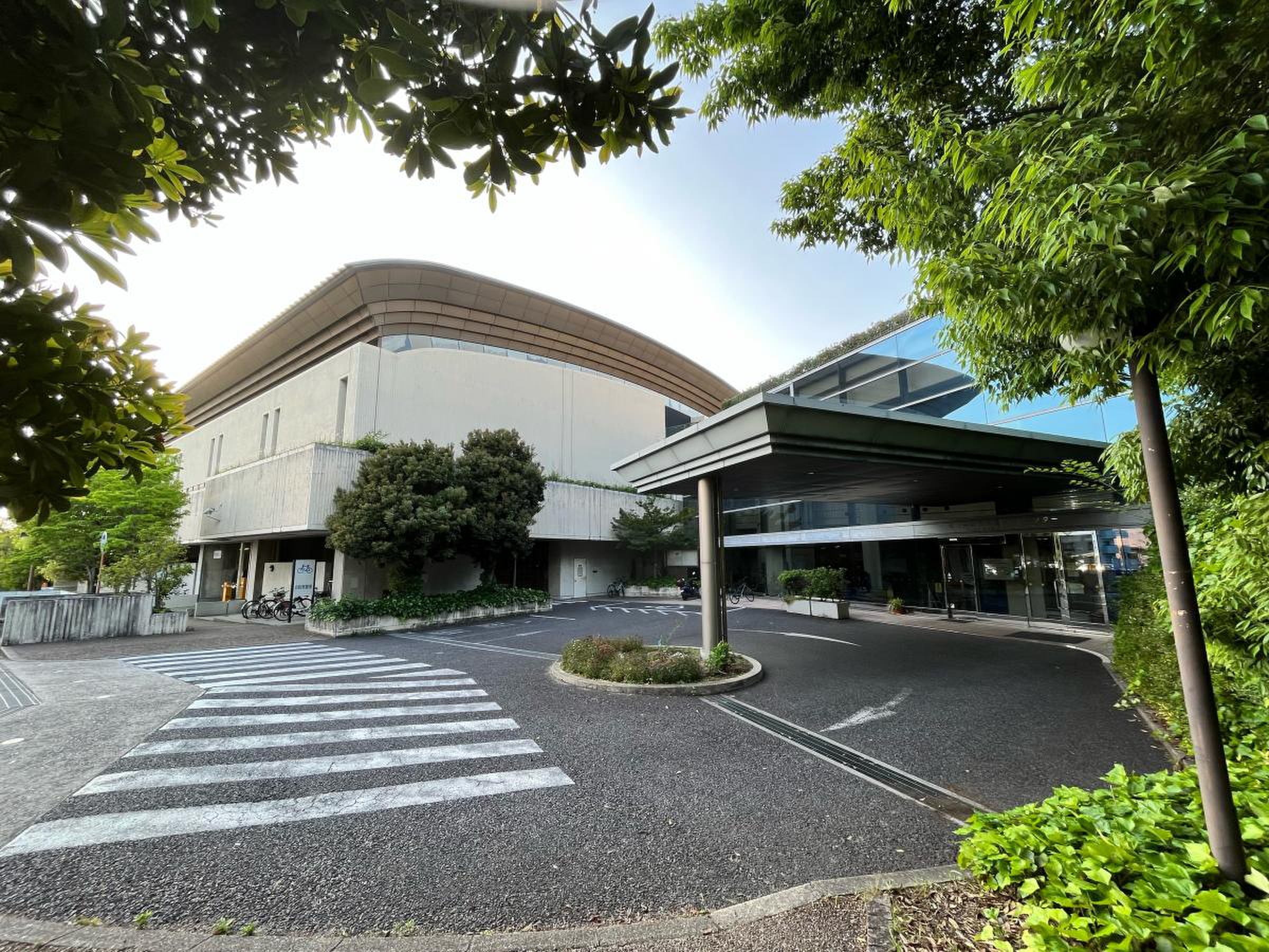 公の場での発言・インタビュー報道記録