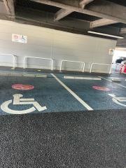 ヤマダ電機　テックランドＮｅｗ出水店