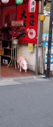 大阪屋