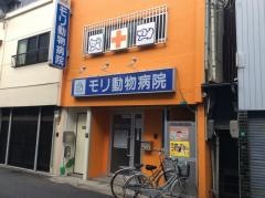 モリ動物病院