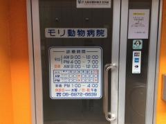モリ動物病院