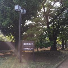 国立音楽大学大学院