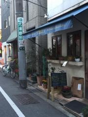 ステッラ（ＳＴＥＬＬＡ）
