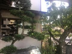 並木庵