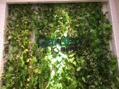 Ｇａｒｄｅｎ　ｂｙ　ｏｎｅ　ｗａｙ　イオンモール羽生